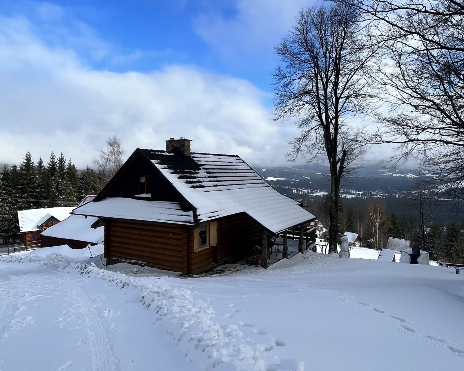 Śnieżna sceneria w Beskidach