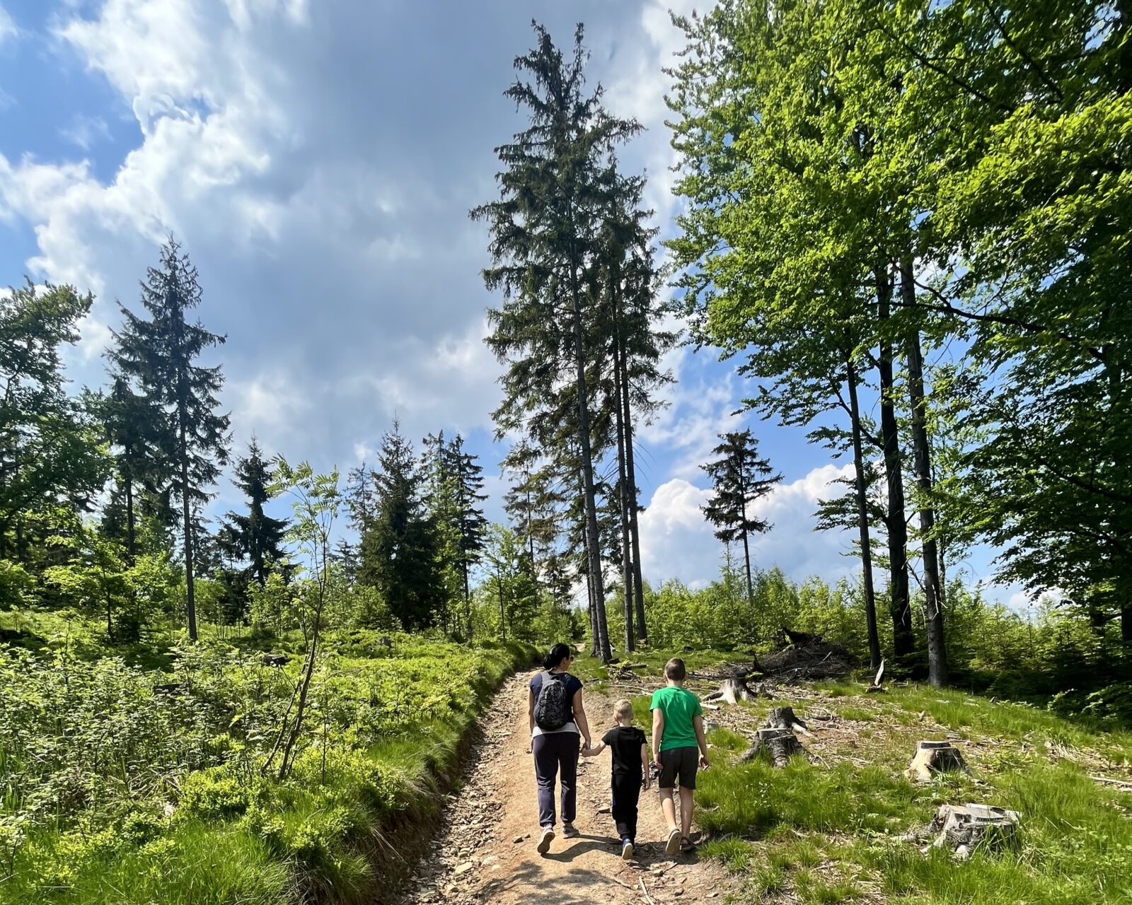 Rodzinna górska wędrówka