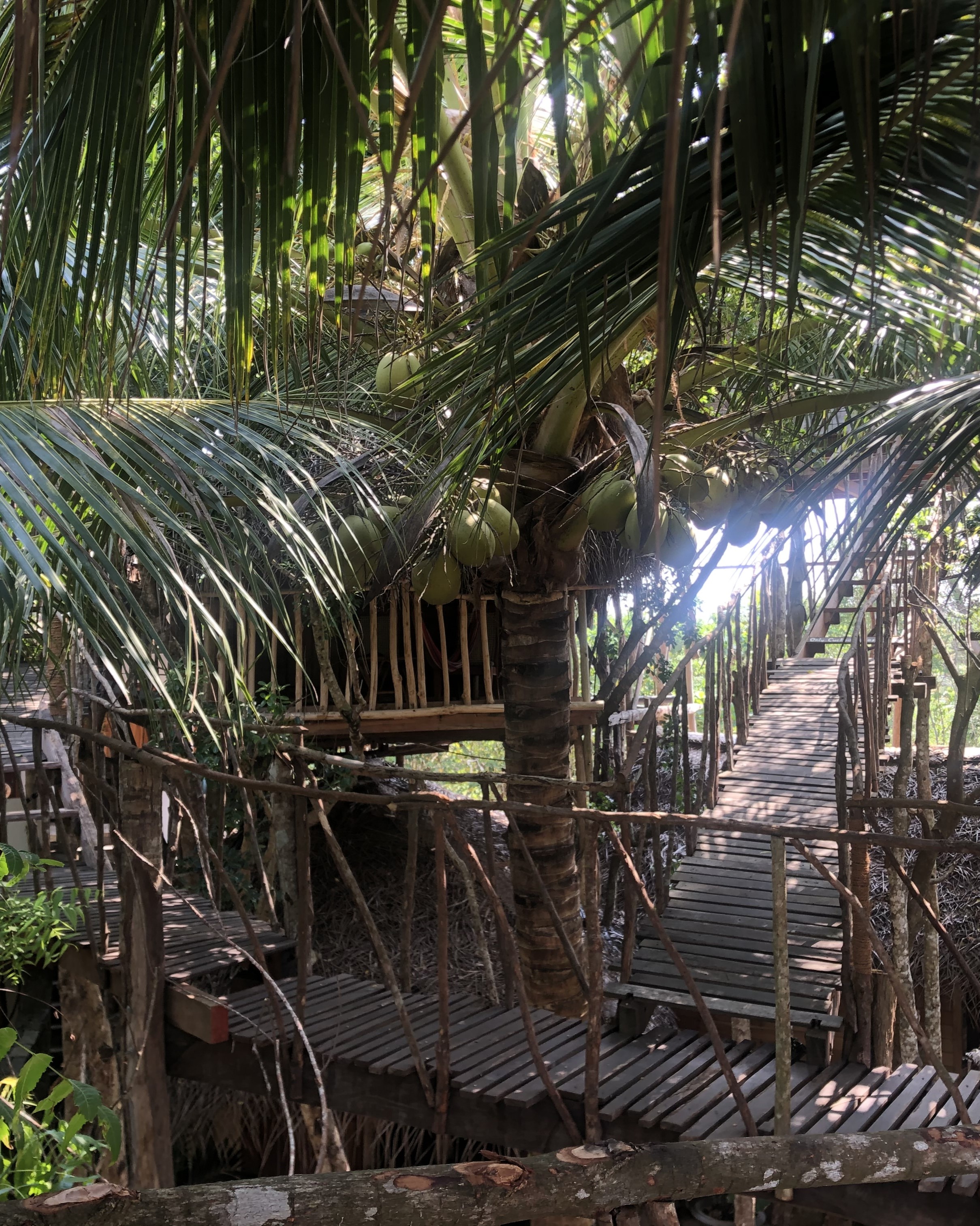 Nocleg na Sri Lance w domku na drzewie przy plaży Tangalle.