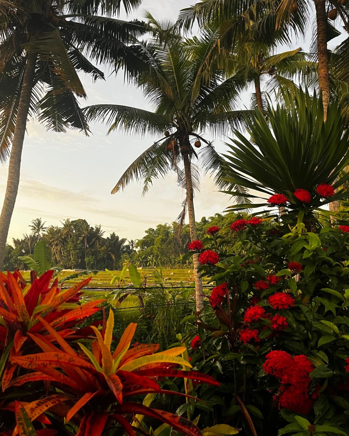villa z tropikalnym ogrodem na Bali