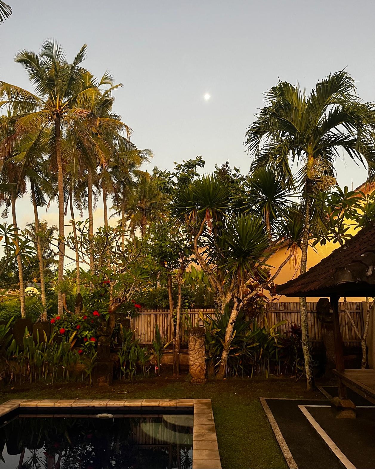 villa z tropikalnym ogrodem na Bali