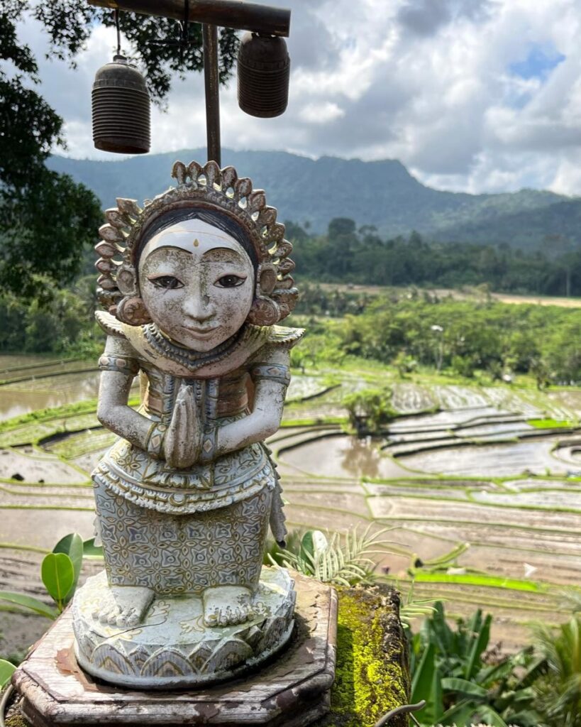 widok na pola ryżowe, nocleg na Bali