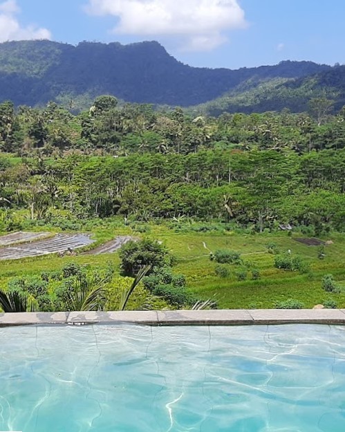 basen z widokiem na pola ryżowe, Bali