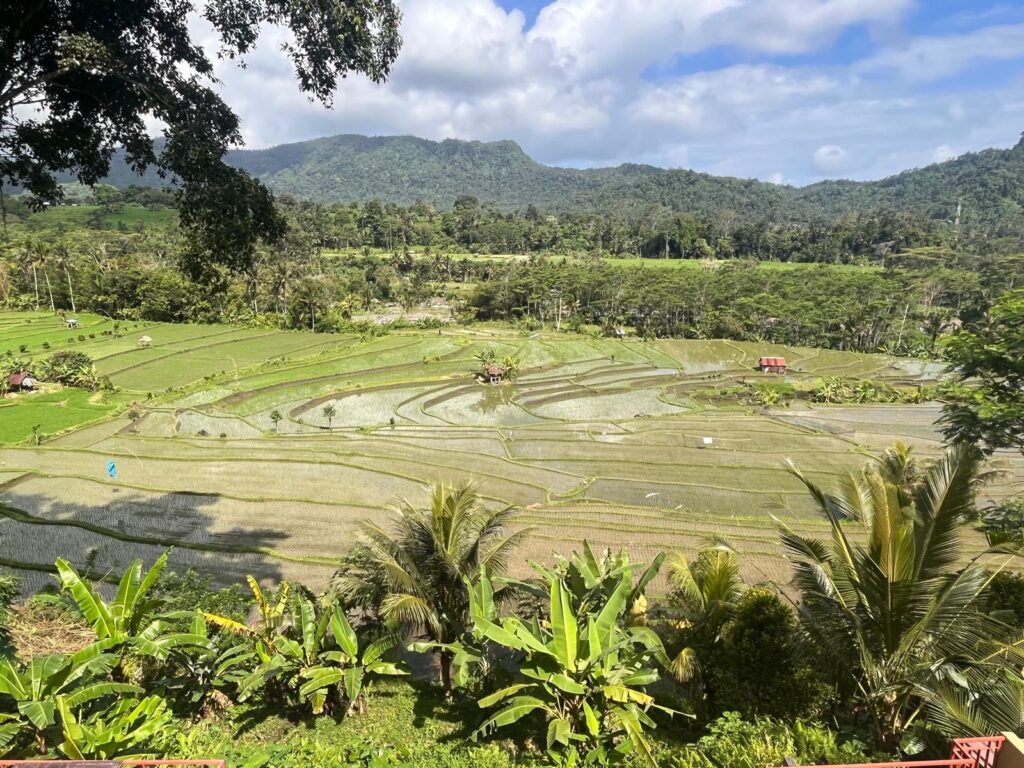 natural view sidemen