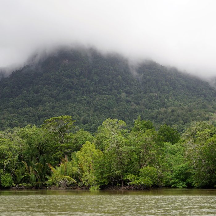 Mount Santubong we mgle
