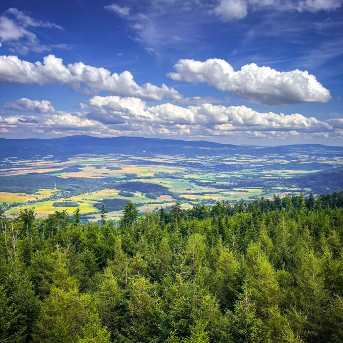 Jagodna, widok z wieży