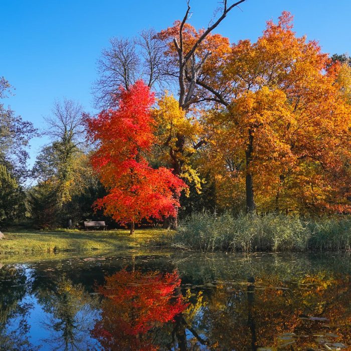 Jesień w Parku Szczytnickim