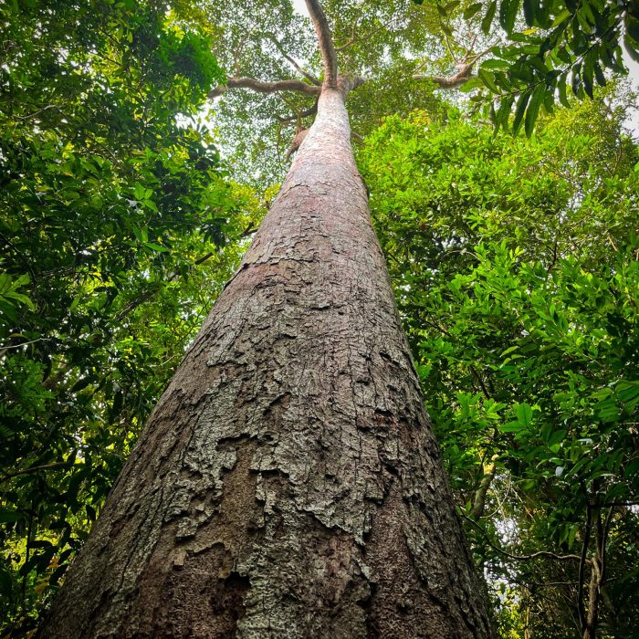 Mu Ko Lanta National Park