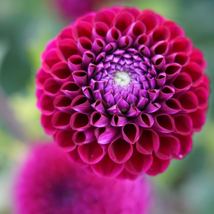 Ogród Botaniczny Wrocław