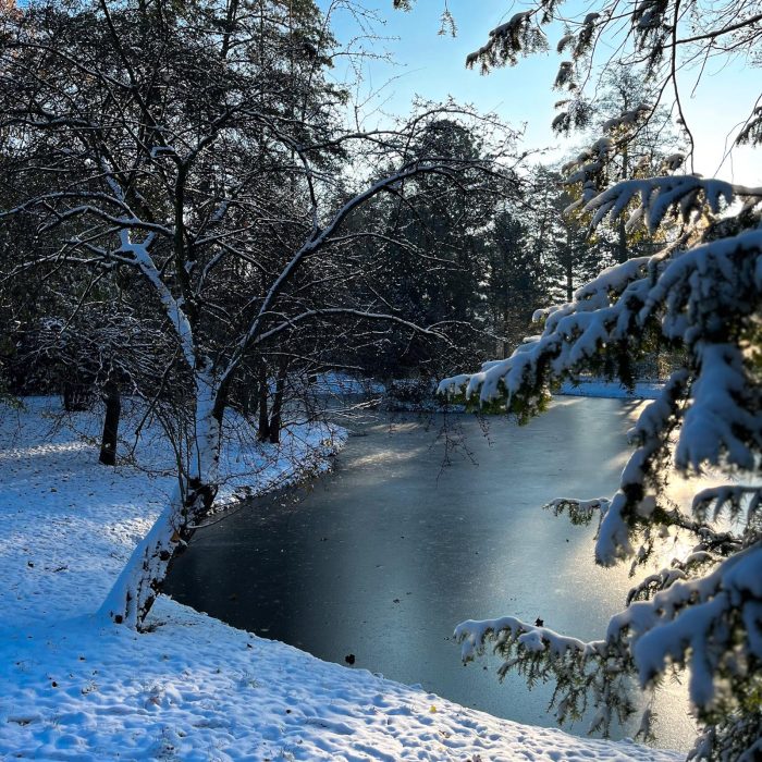 Park Szczytnicki zimą