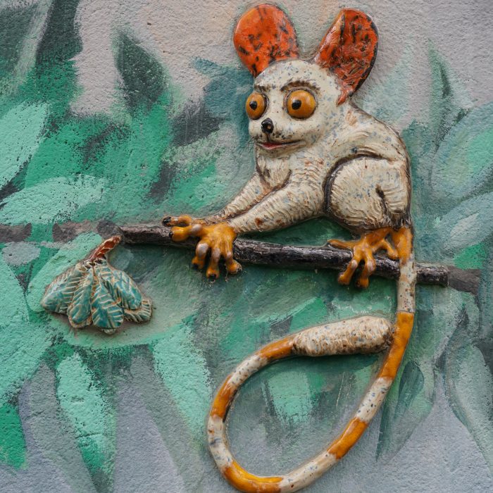 Zwierzątko Nadodrze